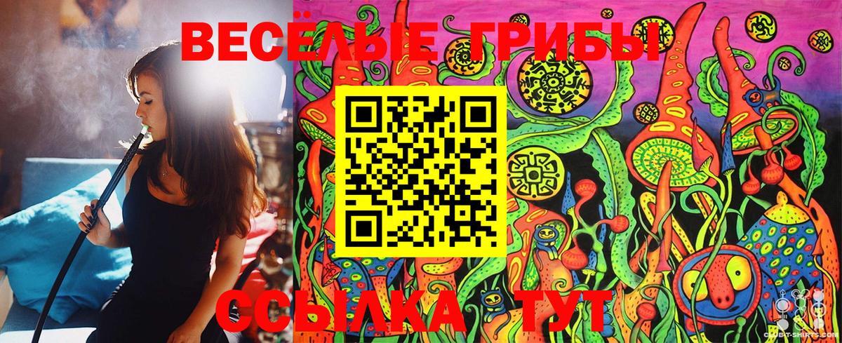 Псилоцибиновые грибы GOLDEN TEACHER Магнитогорск